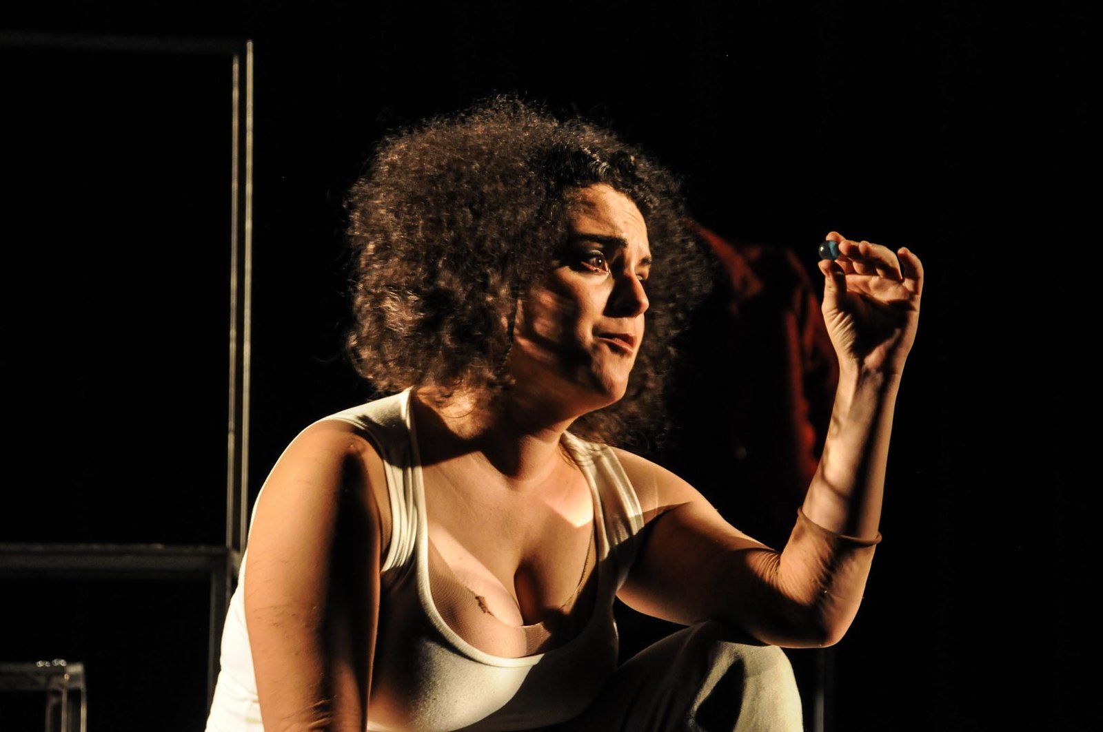 O taxidermista, por Bob Sousa