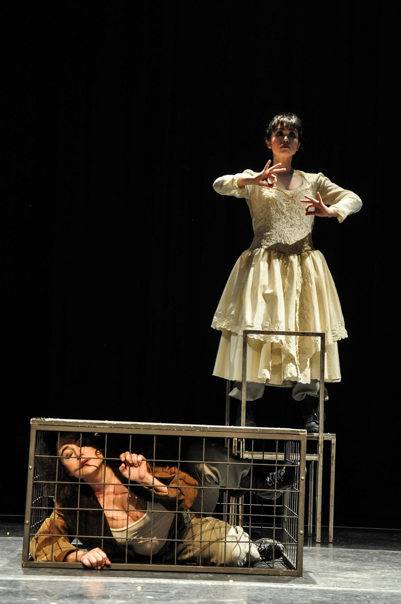 O taxidermista, por Bob Sousa