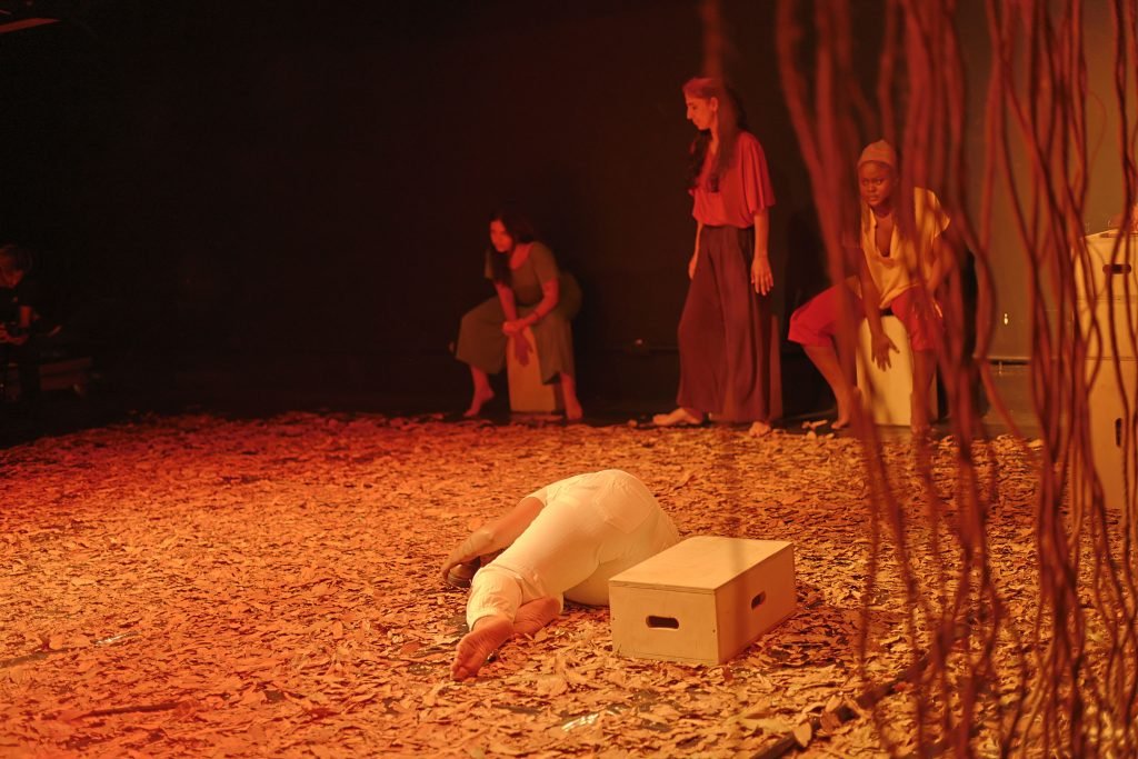 Cemitério das Mulheres Vivas